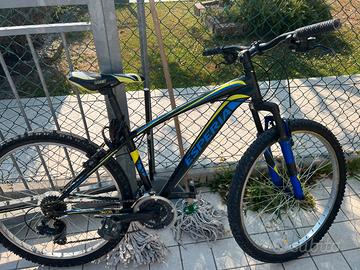 Mountain bike