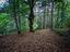 Immagine 16
