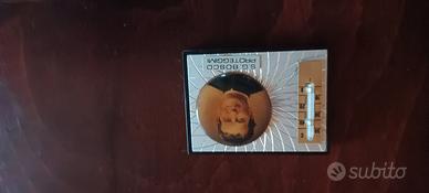 Santino calamita Don Bosco