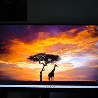 Monitor Samsung G5 27 pollici 2k 165hz