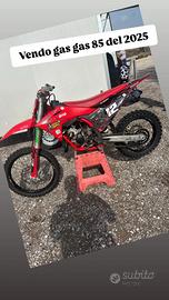 Gas gas 85 del 2025