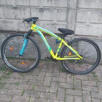 bicicletta mountain bike
