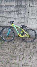 bicicletta mountain bike