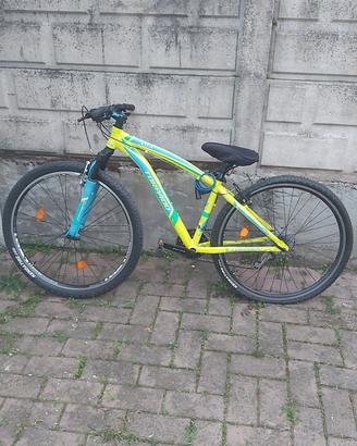 bicicletta mountain bike