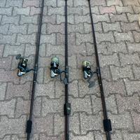 Daiwa carphunter-Z 13ft 3lb con mulinello