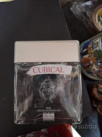 bottiglia vuota gin cubical