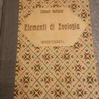 Elementi di zoologia