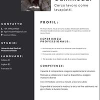 Aiuto cuoco e Lavapiatti