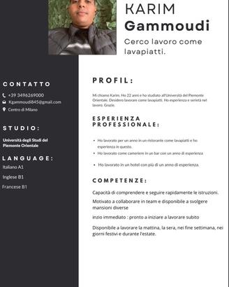 Aiuto cuoco e Lavapiatti