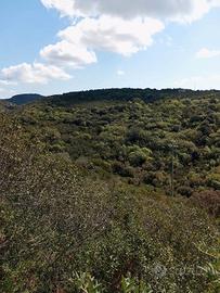Panoramico Terreno oltre 4 ettari a Logulentu