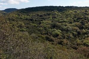 Panoramico Terreno oltre 4 ettari a Logulentu
