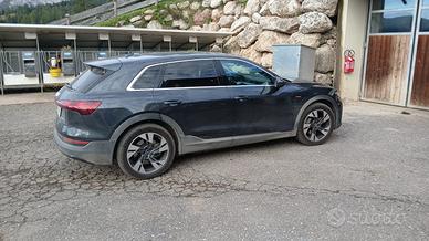 Audi Etron 50
