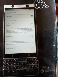 Blackbarry  bbb100-2