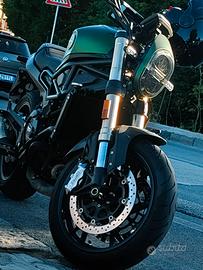 benelli leoncino 800