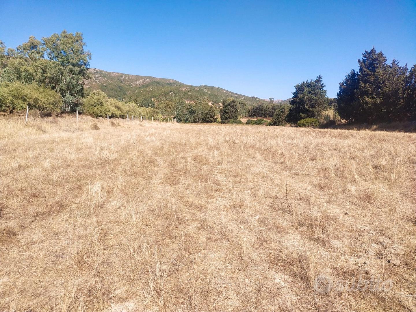 Terreno agricolo - Vista 4