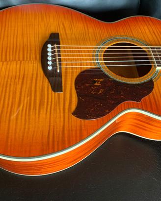 Chitarra crafter fg 150 triplo zero , paletta ripa