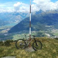 Scott genius 950 2020