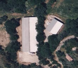 Azienda agricola per la produzione di uova