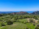 terreno-agricolo-trentinara-cod-rif-3387027vrg-