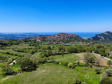 Terreno Agricolo Trentinara [Cod. rif 3387027VRG]