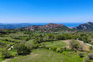 Terreno Agricolo Trentinara [Cod. rif 3387027VRG]