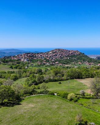 Terreno Agricolo Trentinara [Cod. rif 3387027VRG]