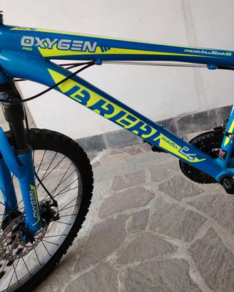 mountain-bike bicicletta bici