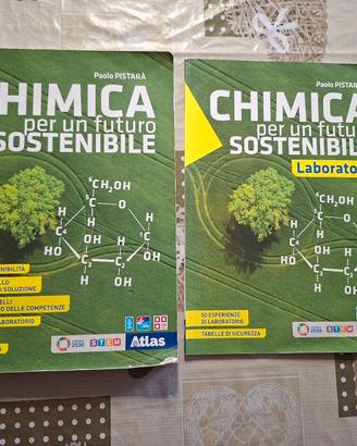 Chimica per un futuro sostenibile