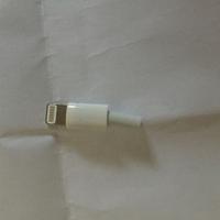 Connettore Lightning