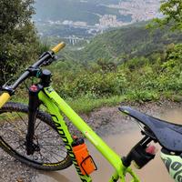 MTB CANNONDALE FSI