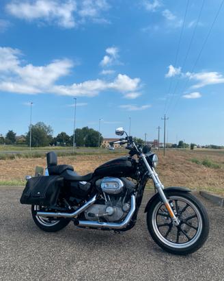 Harley Davidson XL 883 L Superlow