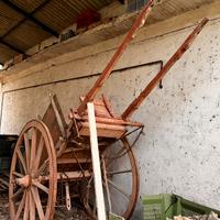 Calesse o carretto pugliese da cavallo