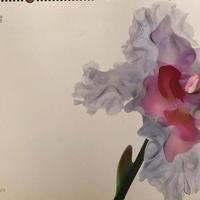 Calendario Pirelli 2004 by Nick Knight