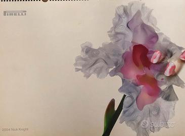 Calendario Pirelli 2004 by Nick Knight