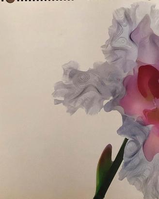 Calendario Pirelli 2004 by Nick Knight
