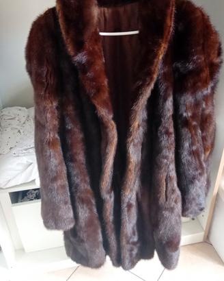 pelliccia DB visone maschio 