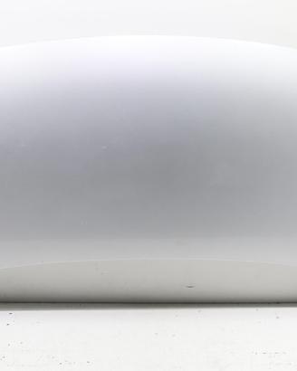 COFANO ANTERIORE FORD Ka Serie (CCU) 1542417 169A4