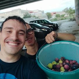 fichi e fichi d'india 
