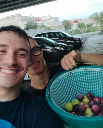 fichi e fichi d'india 