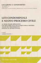 Liti condominiali e nuovo processo civile a cura d