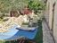 Immagine 11