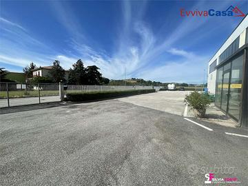 Capannone a Corinaldo