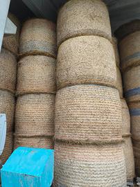 Fieno in balloni di primo taglio 