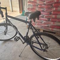Mountain Bike da uomo