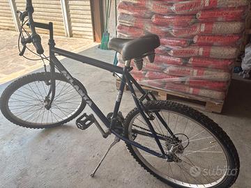 Mountain Bike da uomo