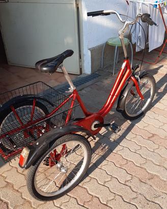 bicicletta 
