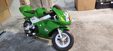 Minimoto