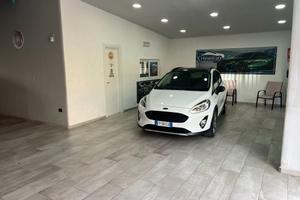 Ford Fiesta Active 1.0 Ecoboost 100 CV