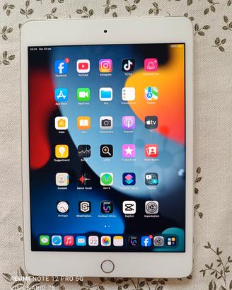 iPad Mini 4 128 GB hard disk 