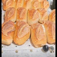 Panettiere